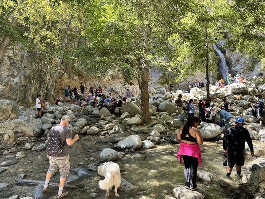 Eaton Canyon Falls by null