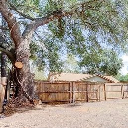 Before.  The massive tree that was growing into the plumbing.