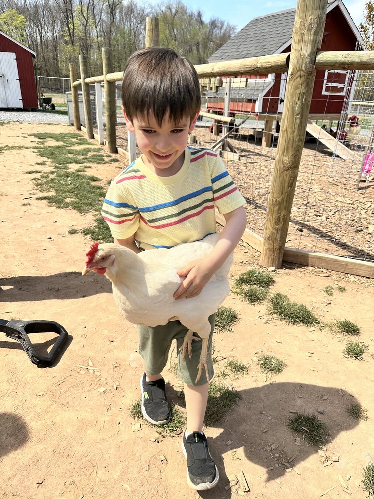 WEST MAPLE FARM Updated September 2024 179 W Maple Ave, Monsey, New