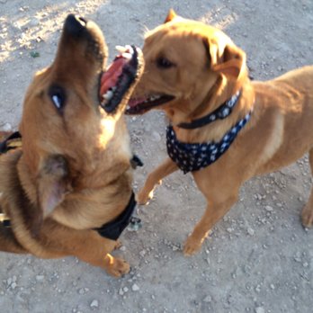 Universal City Dog Park - Dog Parks Near Me - Universal City, Texas