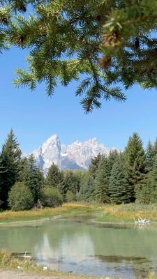 Schwabacher Landing by null