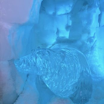 Xtracold Icebar Amsterdam - Ice bear - Pubs Near Me - Amsterdam, New Hampshire Xtracold Icebar Amsterdam - Ice bear - Pubs Near Me - Amsterdam, New Hampshire