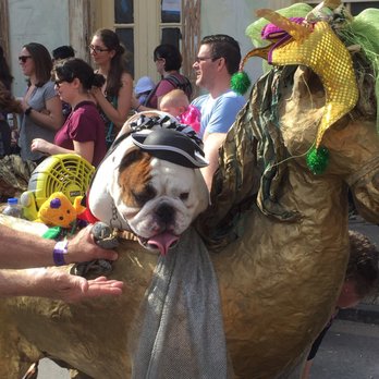 Barkus Parade - Local Flavor Near Me