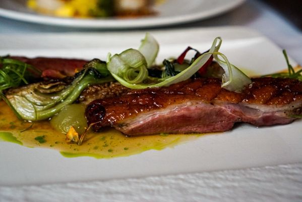 Barking Frog by null