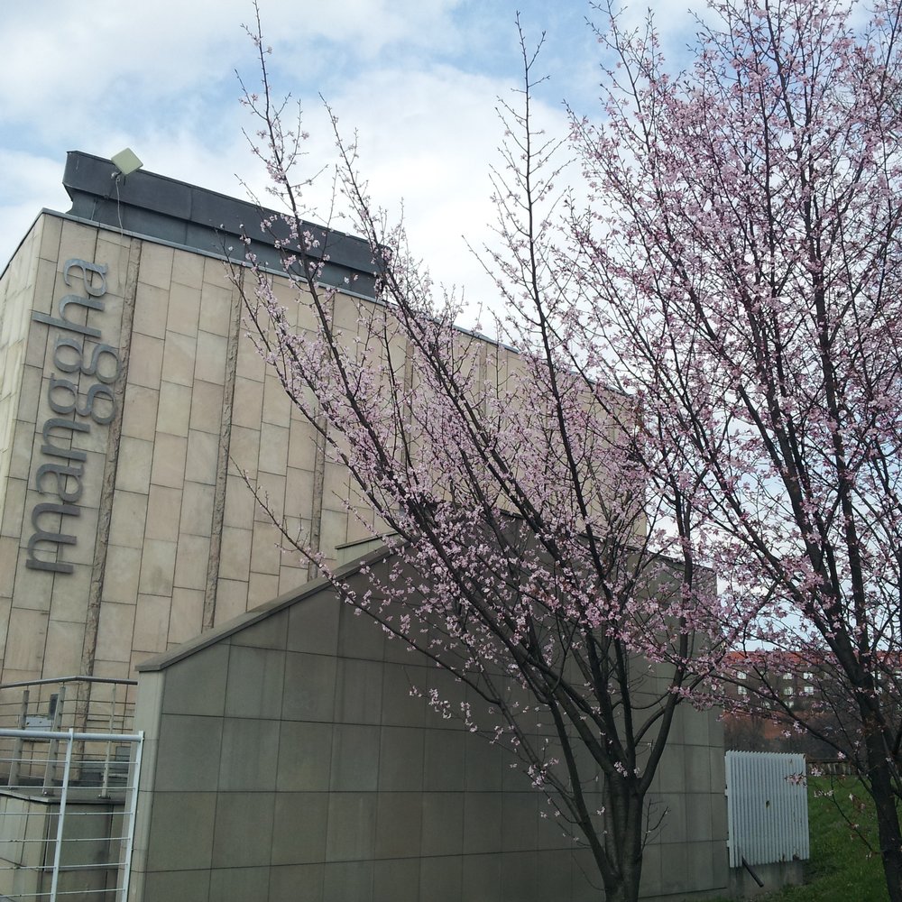 Cafe Manggha - Cherry tree blossoms... - Japanese Near Me - Kraków, Massachusetts