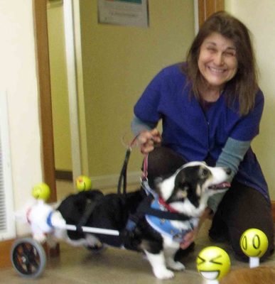 Roark Small Animal Clinic 1205 N Wilcox Dr Kingsport Tn Veterinarians Mapquest