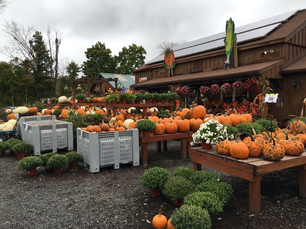 KOSINSKI FARMS Updated October 2024 10 Photos 420 Russellville Rd