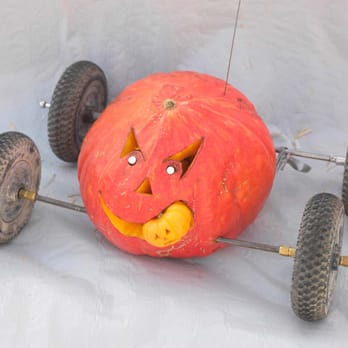 Manhattan Beach Pumpkin Races - Pumpin eating a Pumpkin, the Horror - Active Life Near Me - Manhattan Beach, California Manhattan Beach Pumpkin Races - Pumpin eating a Pumpkin, the Horror - Active Life Near Me - Manhattan Beach, California
