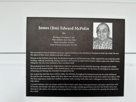 McPolin Barn by null