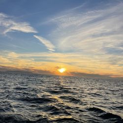 TipToe Sailing