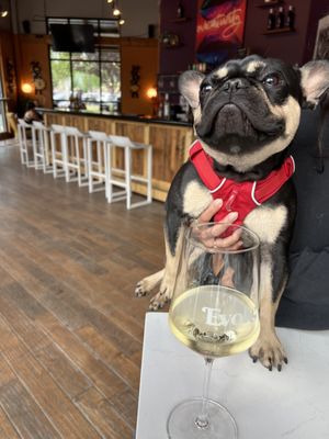 Evoke Winery - Bend by null