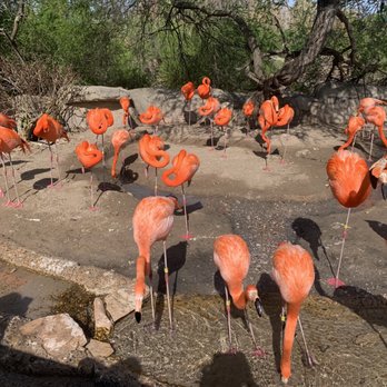 Gladys Porter Zoo - Zoos Near Me - Brownsville, Texas