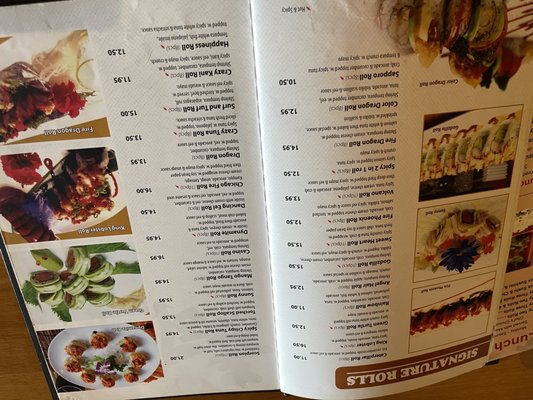 Menu photo 2 Sake Sushi & Grill Schaumburg, IL