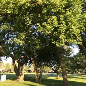 Washington Park - The trees are beautiful here - Playgrounds Near Me - Washington, Michigan Washington Park - The trees are beautiful here - Playgrounds Near Me - Washington, Michigan