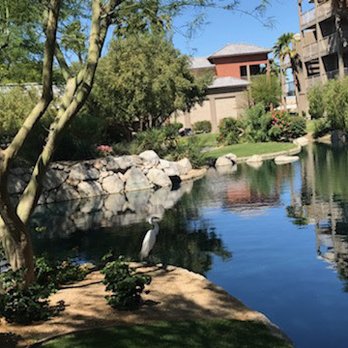 WorldMark Indio - Resorts Near Me - Indio, California WorldMark Indio - Resorts Near Me - Indio, California