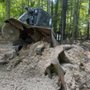 Photo of Ripley Stump Grinding