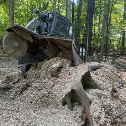 Ripley Stump Grinding