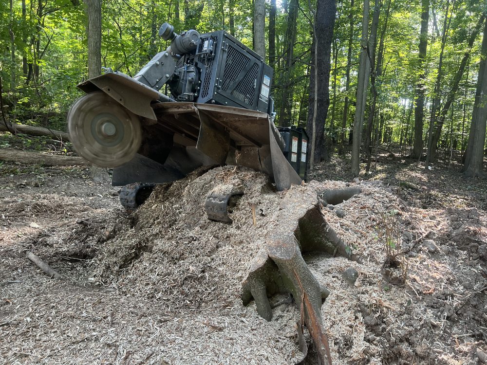 Ripley Stump Grinding - tree service in Chagrin Falls, OH