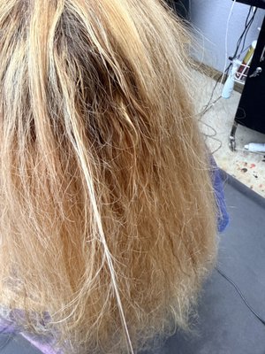 Salon By Sandra Lozano