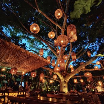 Samura - Inside restaurant - Japanese Near Me - Isla Mujeres, ROO Samura - Inside restaurant - Japanese Near Me - Isla Mujeres, ROO