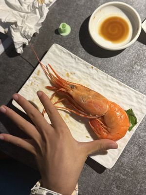 Little Tokyo Sushi by null