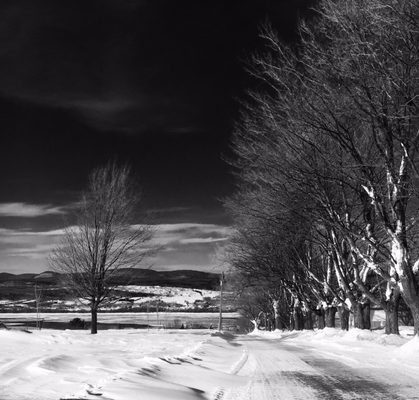 Île d'Orléans by null