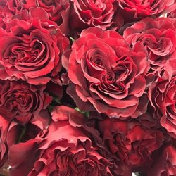 M & M Floral & Gifts