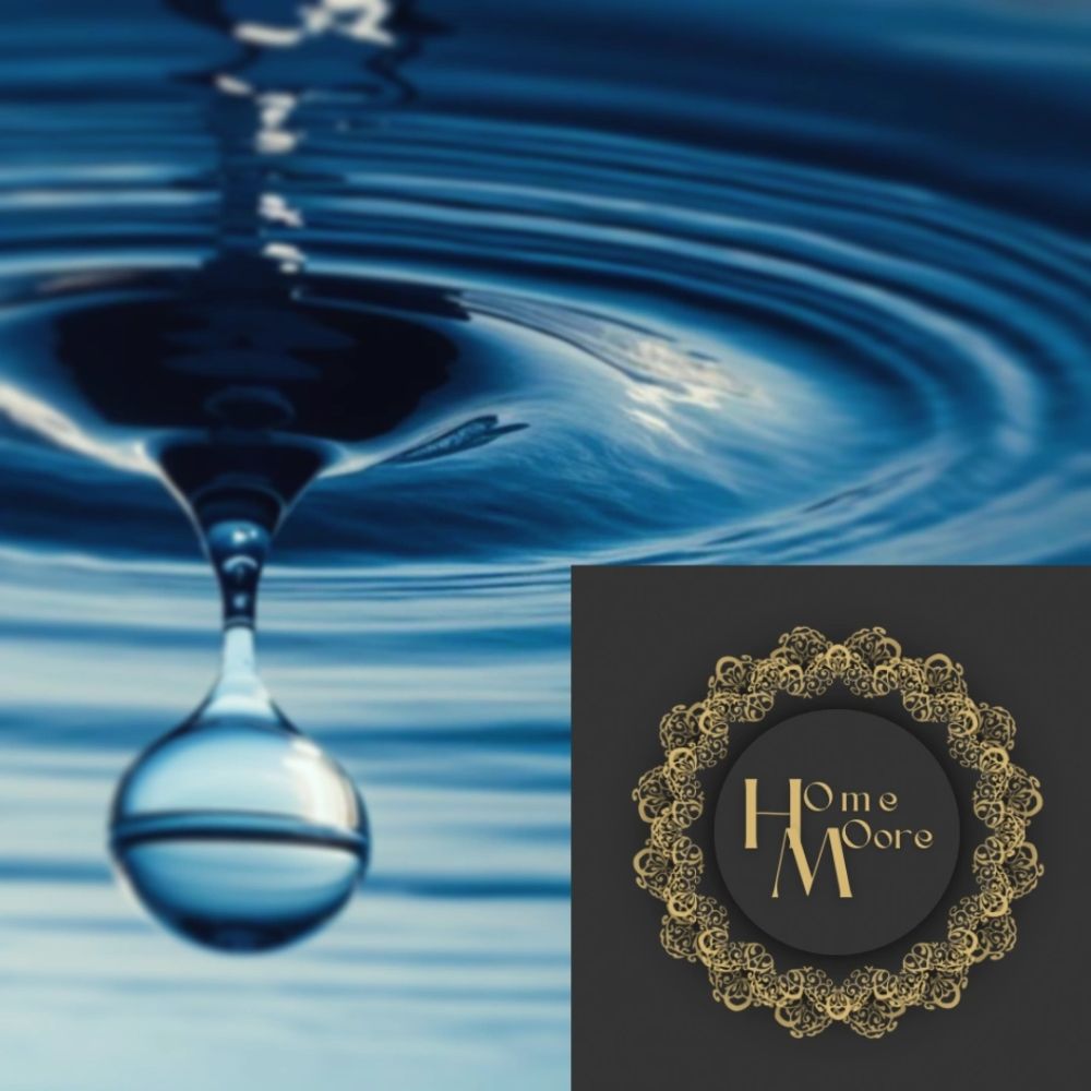 The Home Moore Foundation - social services organization in Myrtle Beach, SC