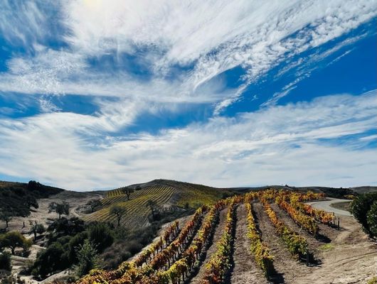 Demetria Estate & Vineyards by null