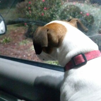 McDonald's - Loki waiting for 30 min on his sausage biscuit - Burgers Near Me - Marianna, Florida McDonald's - Loki waiting for 30 min on his sausage biscuit - Burgers Near Me - Marianna, Florida