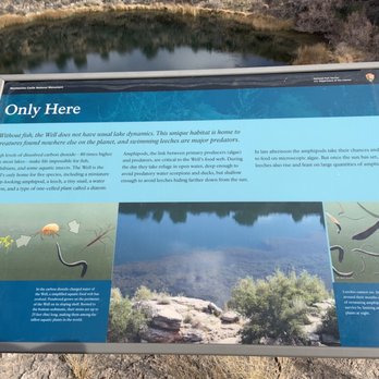 Montezuma Well - Landmarks & Historical Buildings Near Me - Rimrock, Arizona