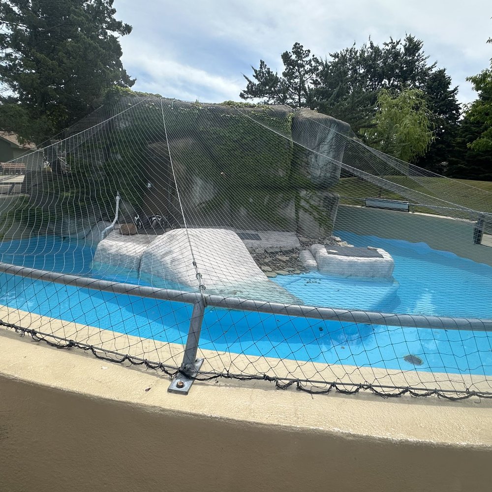 Racine Zoo - This is the penguin enclosure and it is 80° out. No ice. Super shallow. - Zoos Near Me - Racine, Wisconsin