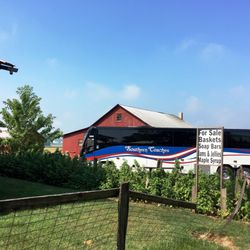 Amish Heartland Tours - Motor Coach Tours with Step-On Culture Guides