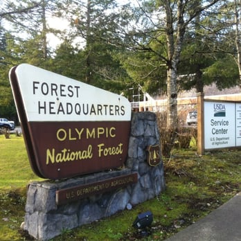 Olympic National Forest - Parks Near Me - Olympia, Washington