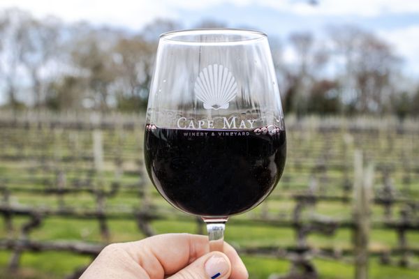 Cape May Winery & Vineyard by null