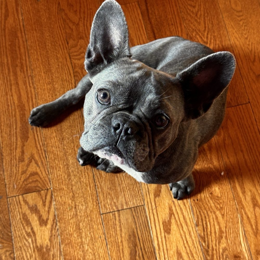Lucy Lucy