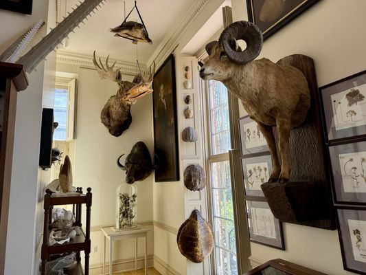 Connecticut's Old State House by null