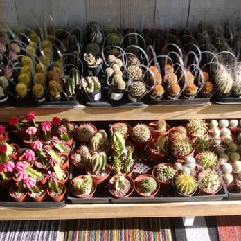 Pigment - Home Decor Near Me - San Diego, California