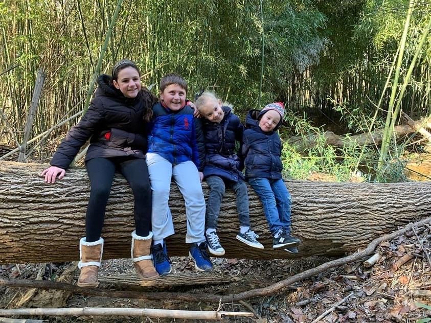 Napa Valley Counseling Center - grief counselor in Little Rock, AR