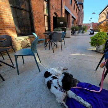 Long Live Beerworks - dog friendly patio - Breweries Near Me - Providence, Rhode Island