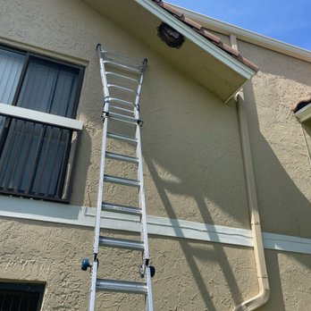 Willie The Bee Man Bee Removal Specialists - Pest Control Near Me - Hollywood, Florida Willie The Bee Man Bee Removal Specialists - Pest Control Near Me - Hollywood, Florida