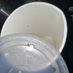 fruit fly on lid and cup