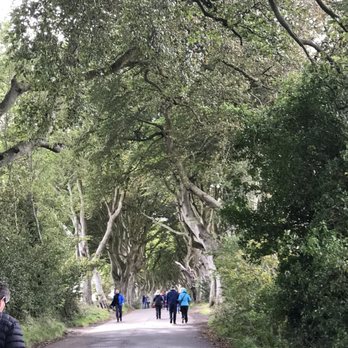 Paddywagon Tour - Tours Near Me - Dublin, D
