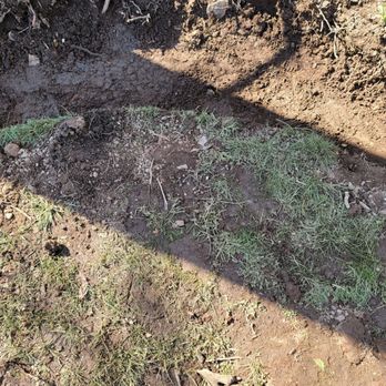 Caribbean Mason - Curve created by the use of a shovel. - Masonry/Concrete Near Me