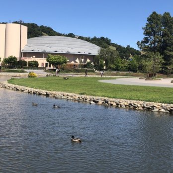 Lagoon Park - Parks Near Me - San Rafael, California