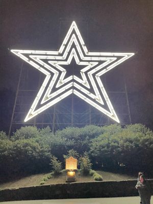 Mill Mountain Star by null