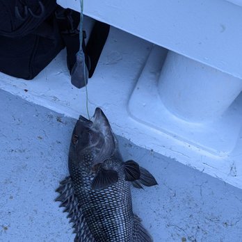 Captain Stacy - Sea Bass! - Fishing Near Me - Atlantic Beach, North Carolina