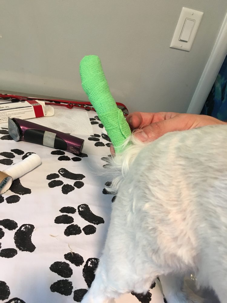 Pleasantville Grooming