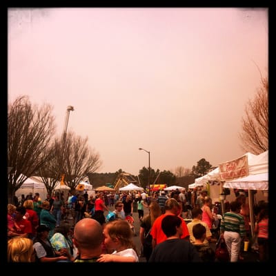 Georgia International Horse Park by null