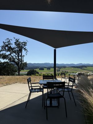 Resonance Vineyard by null